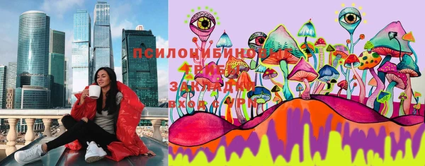 a pvp Володарск